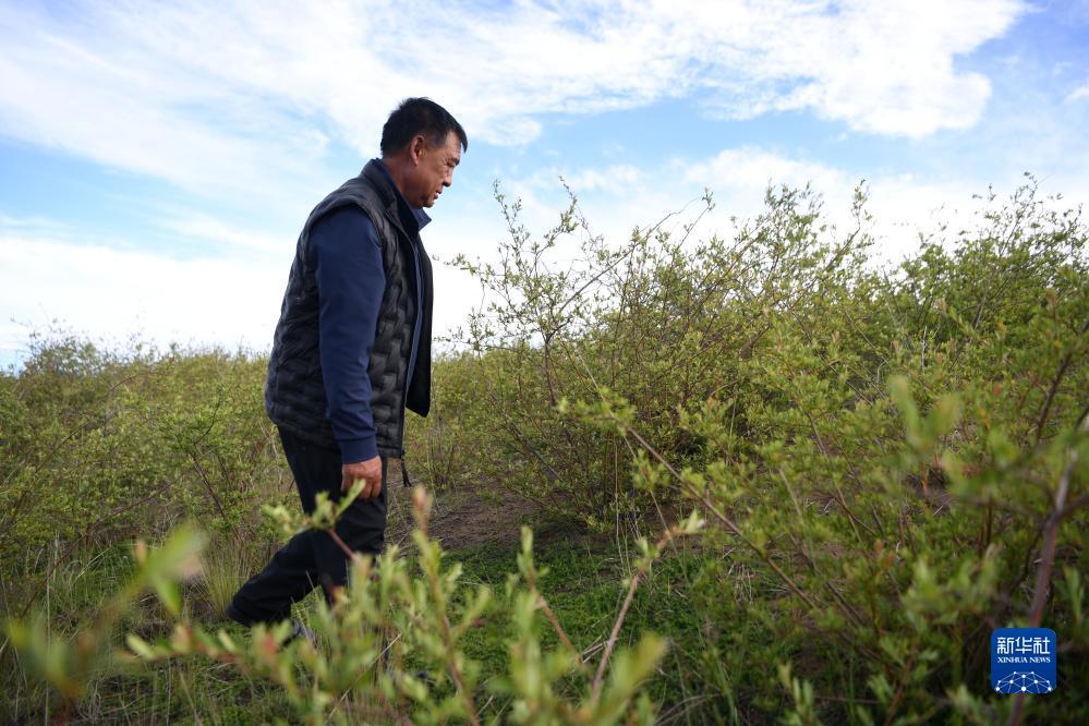 捕鱼游戏定制开发项目流程图